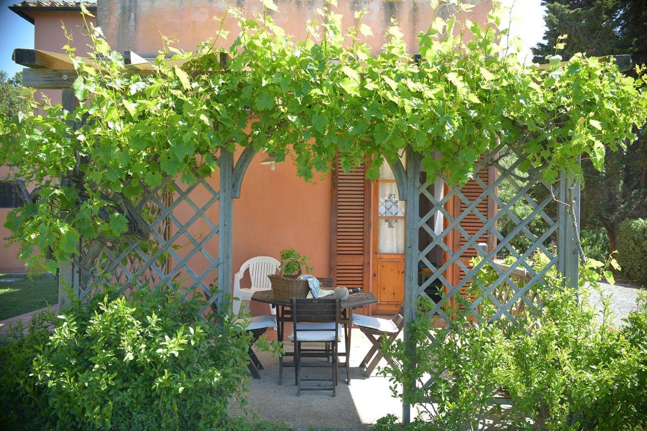 Agriturismo Le Cerbonche Rosignano Marittimo Kültér fotó