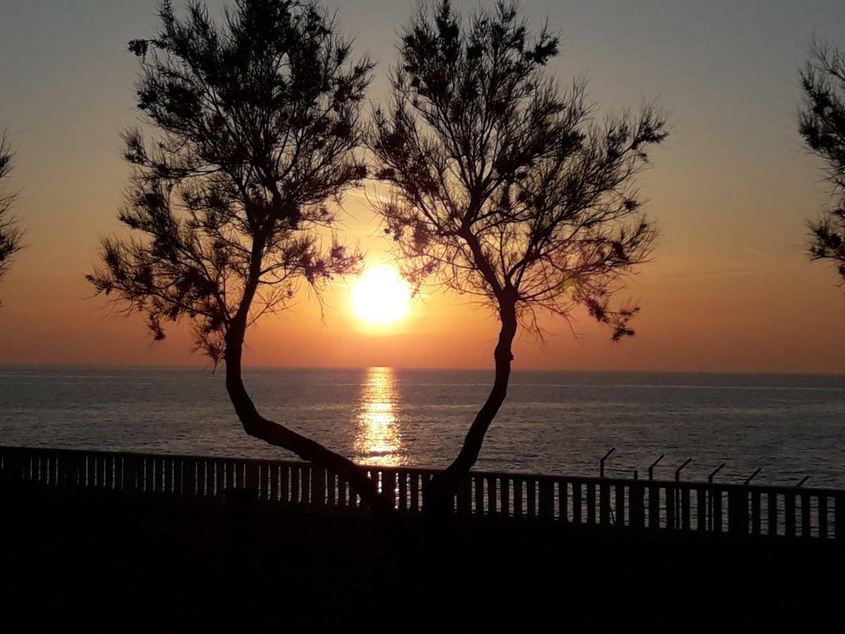 Agriturismo Le Cerbonche Rosignano Marittimo Kültér fotó